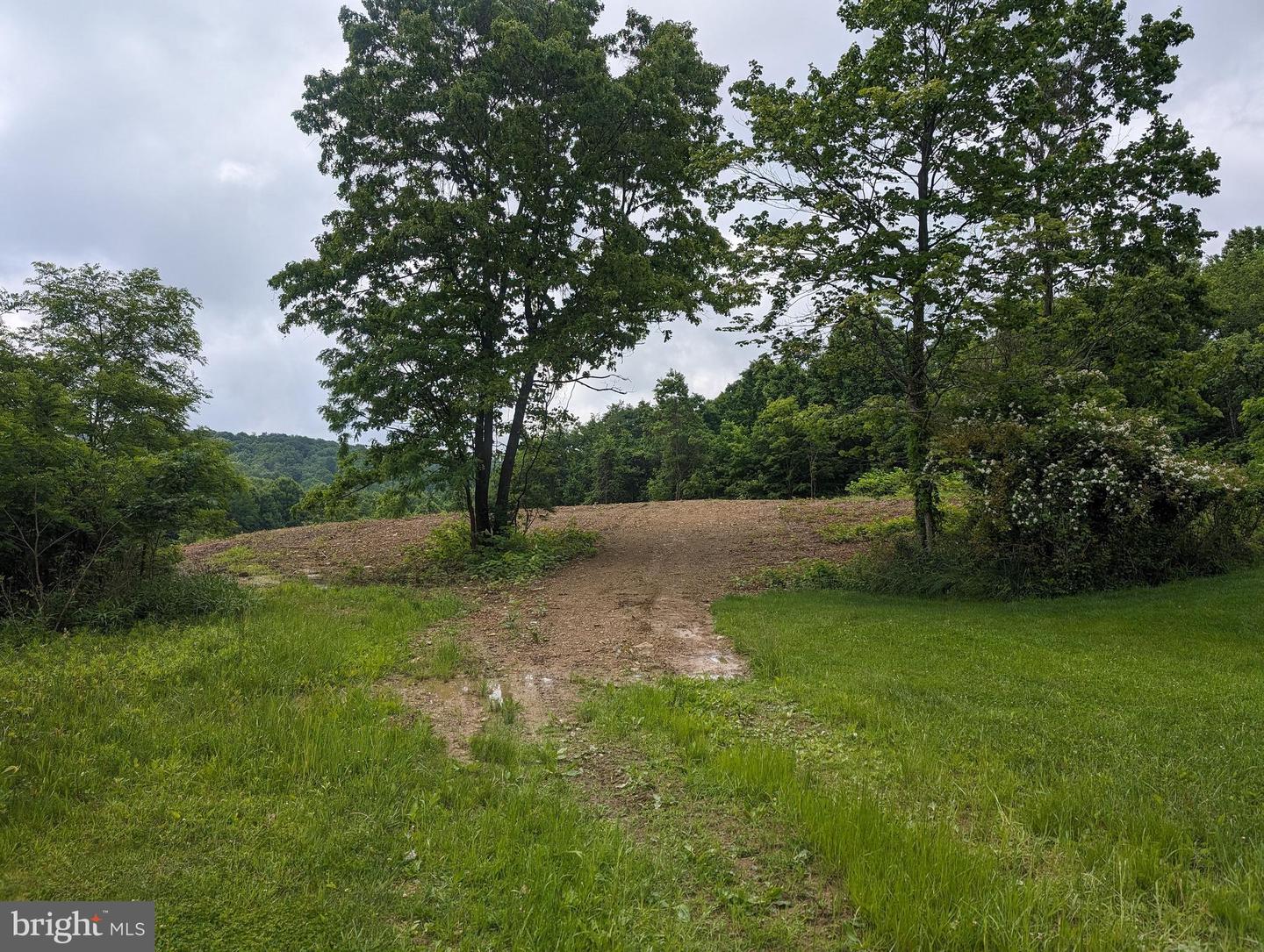 Berkshire Dr Property Photo