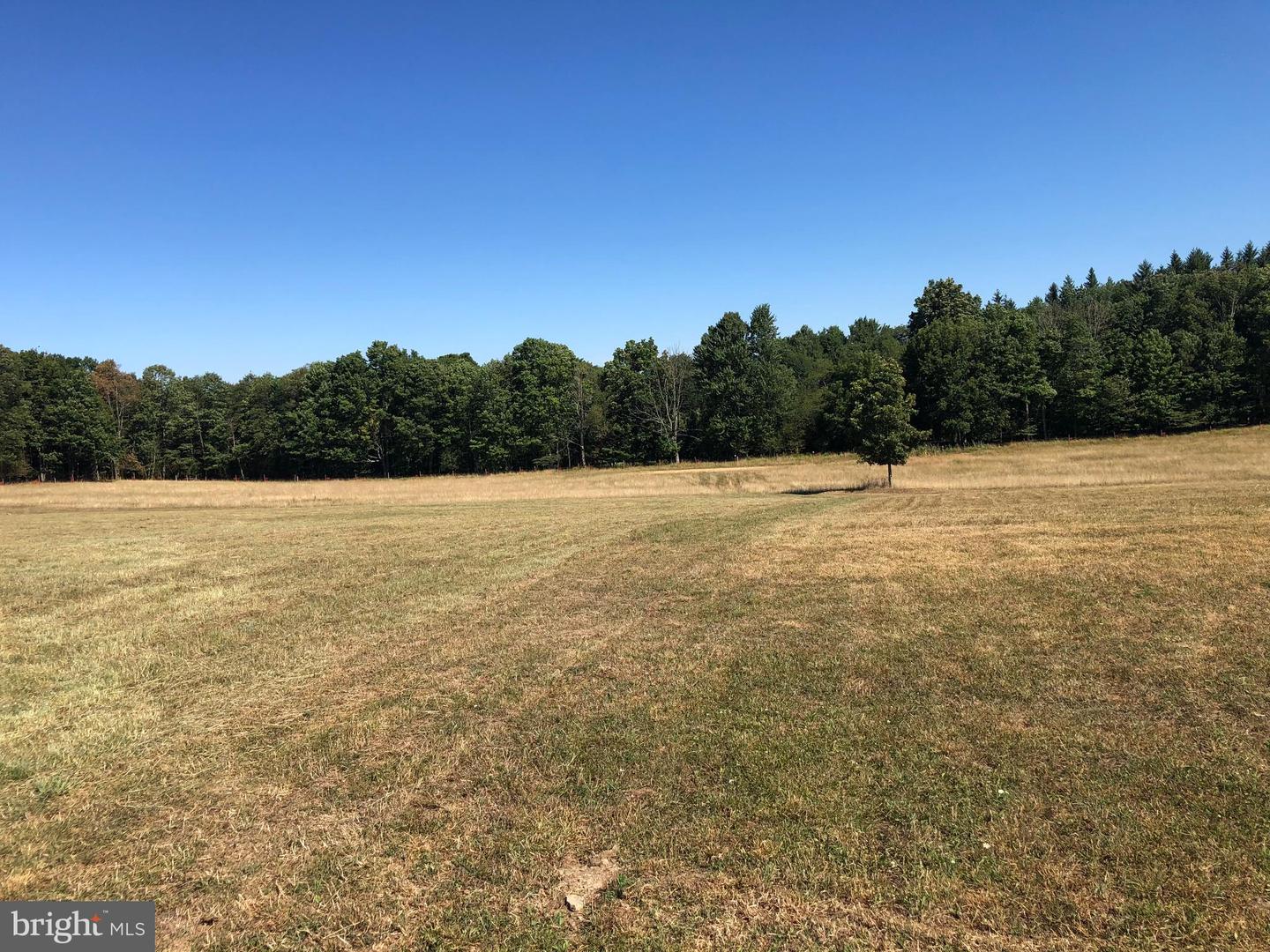 496 Scout Dam Rd Property Photo 10