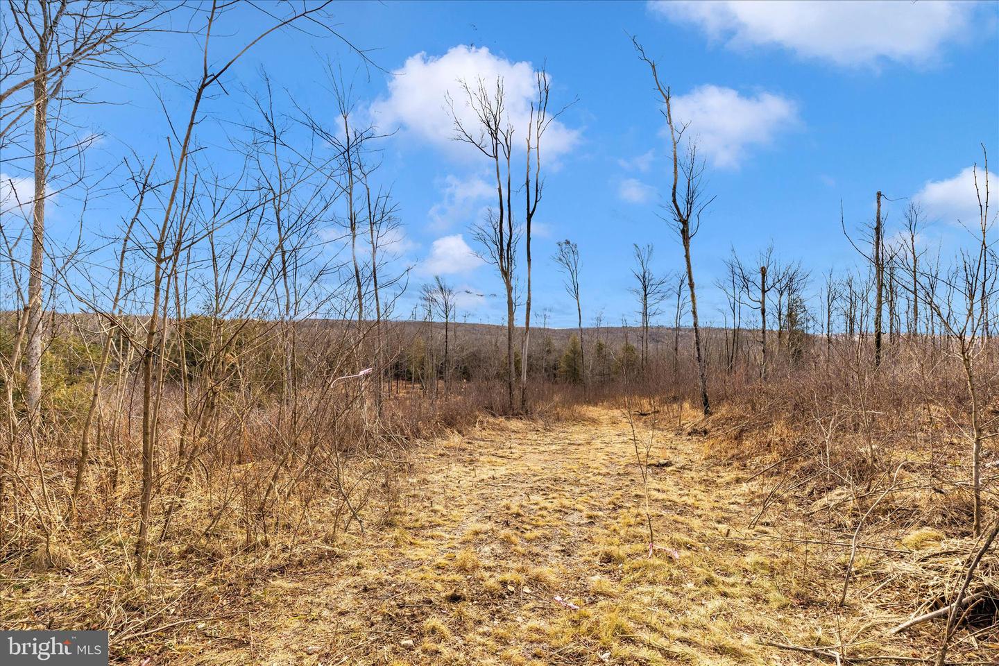 000 Mountain Road Lot 6 Property Photo 2