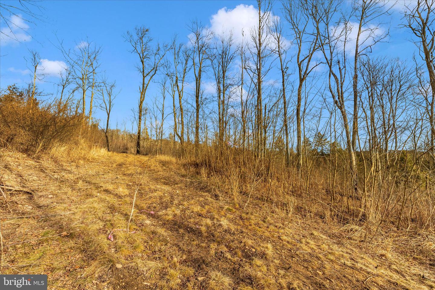 000 Mountain Road Lot 6 Property Photo 3
