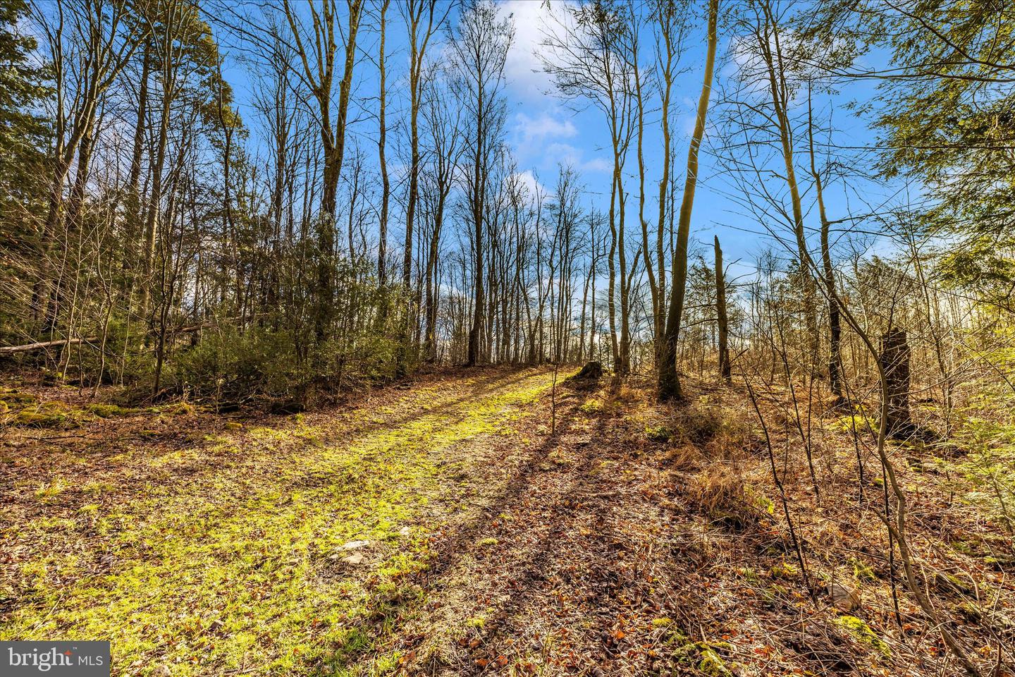 000 Mountain Road Lot 6 Property Photo 17
