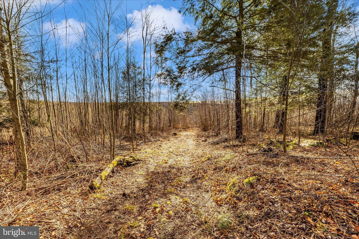 000 Mountain Road Lot 6 Property Photo 20