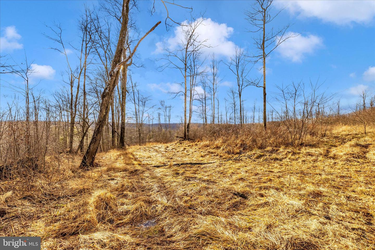 000 Mountain Road Lot 6 Property Photo 22