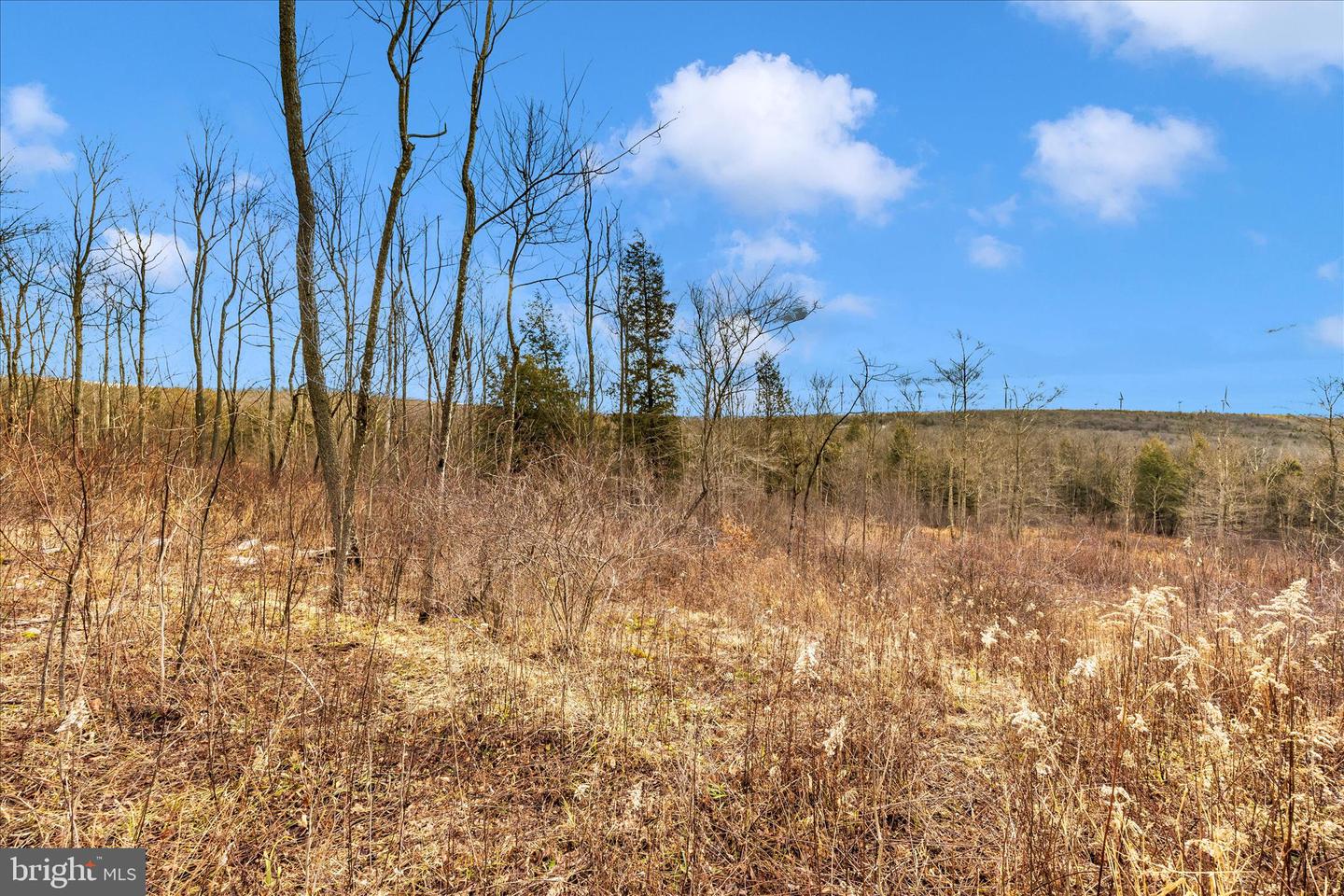 000 Mountain Road Lot 6 Property Photo 23