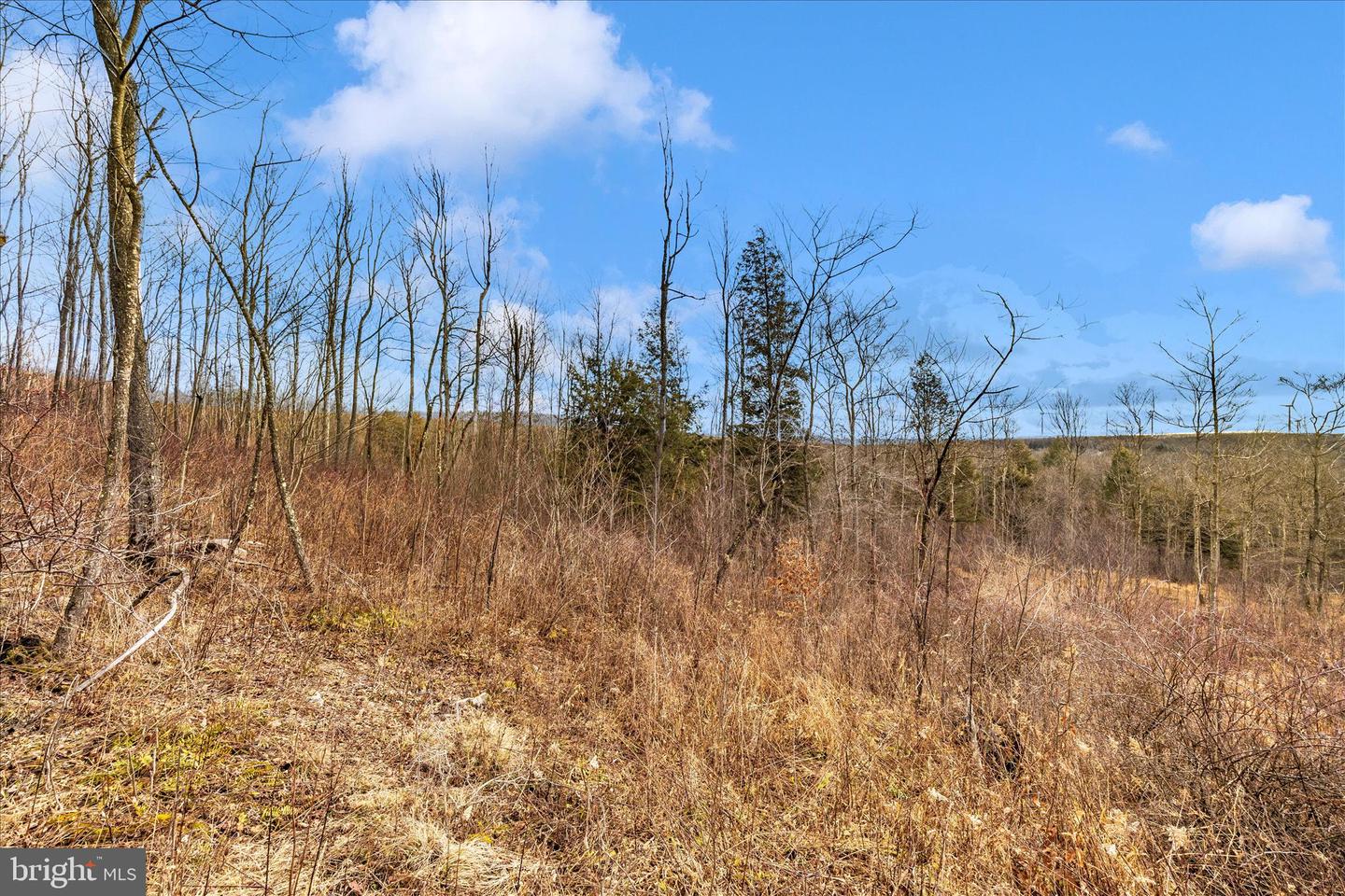 000 Mountain Road Lot 6 Property Photo 24