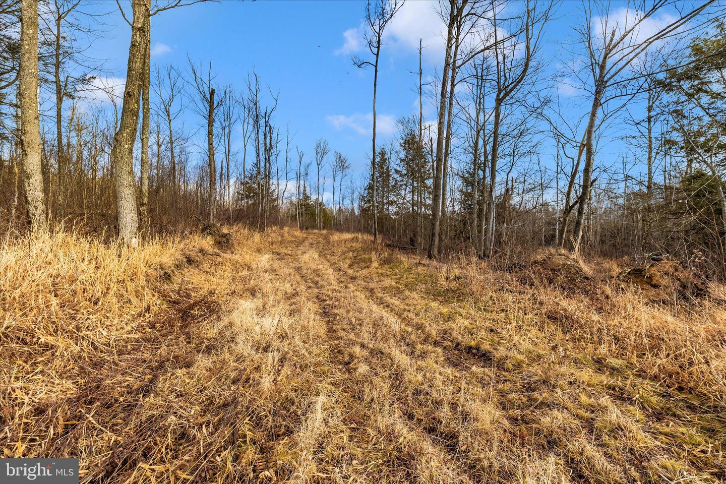 000 Mountain Road Lot 6 Property Photo 25