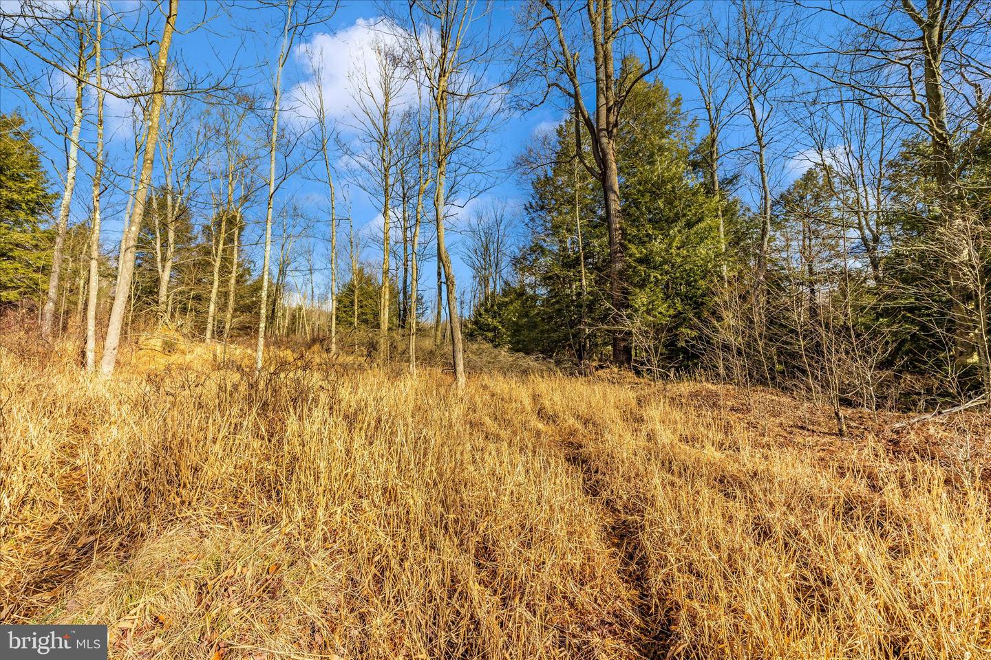 000 Mountain Road Lot 6 Property Photo 26