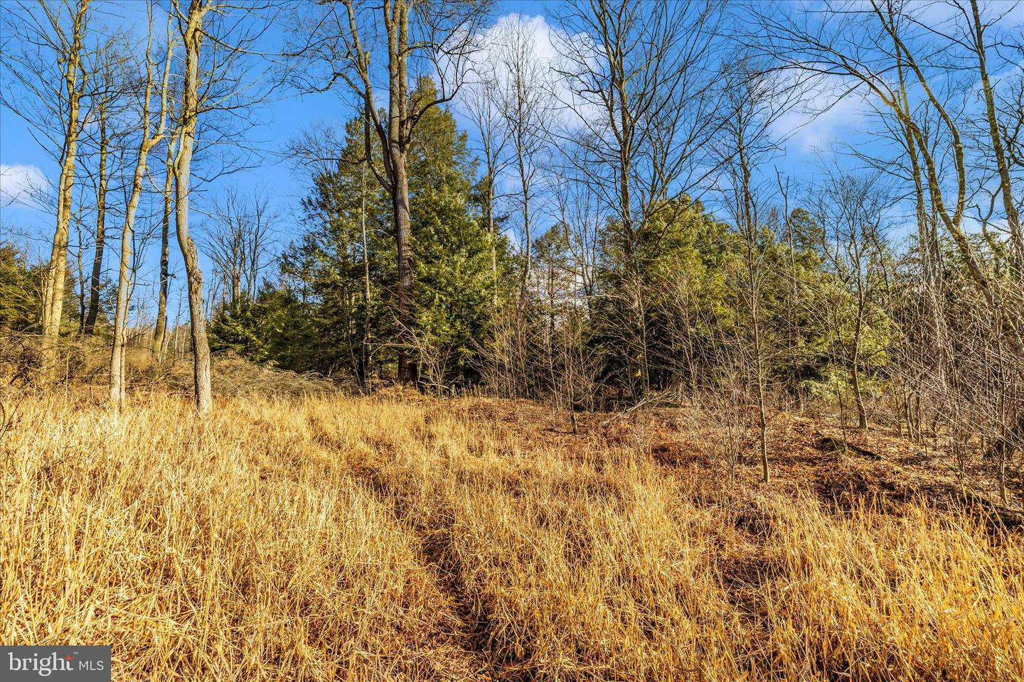 000 Mountain Road Lot 6 Property Photo 27