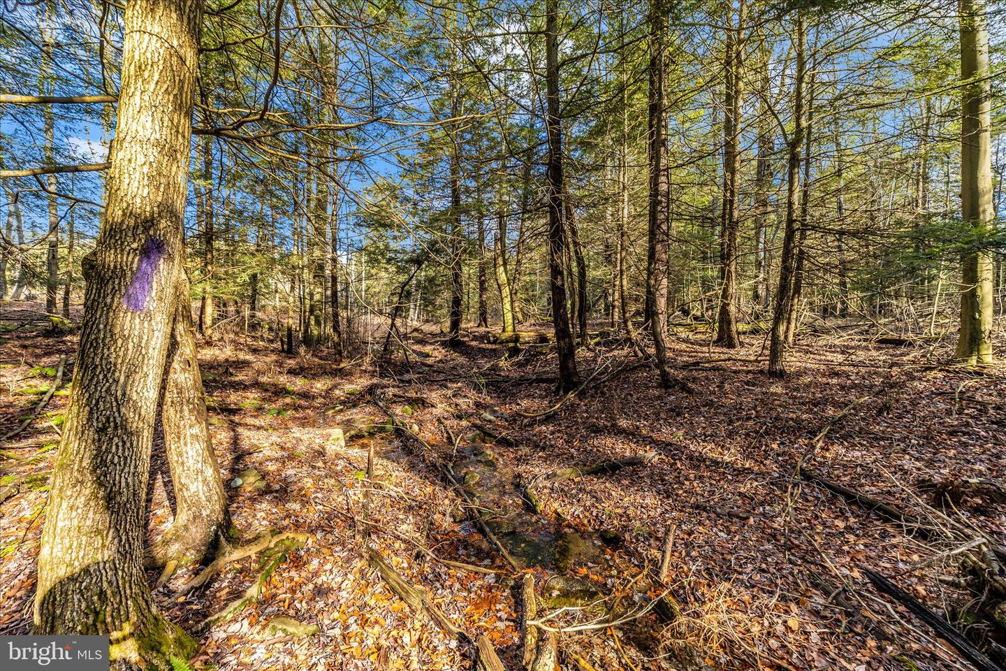 000 Mountain Road Lot 6 Property Photo 28