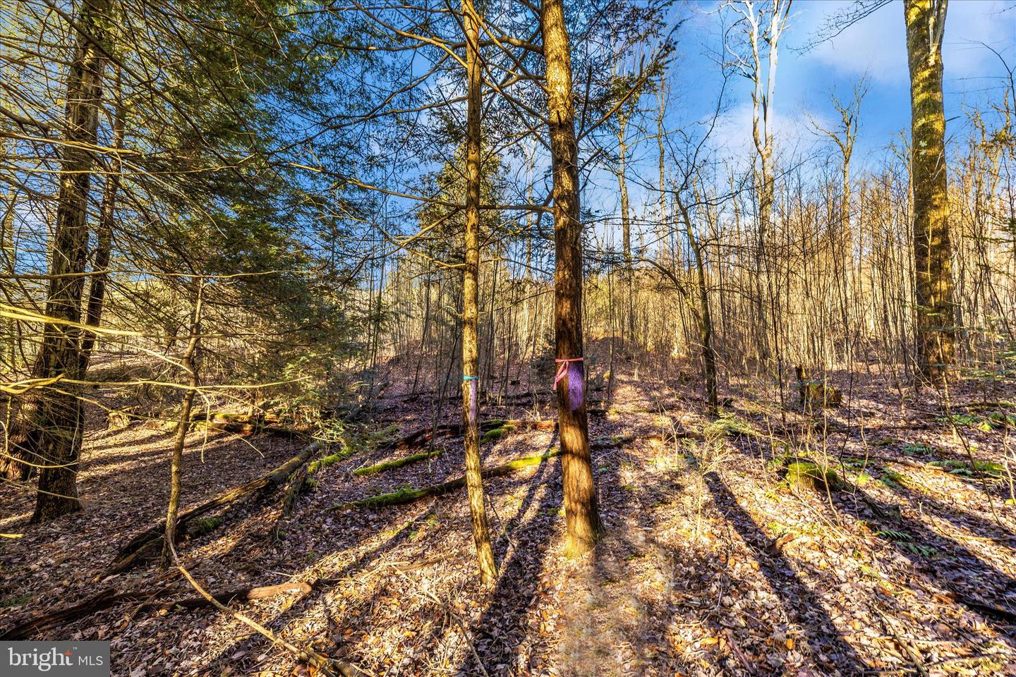 000 Mountain Road Lot 6 Property Photo 29