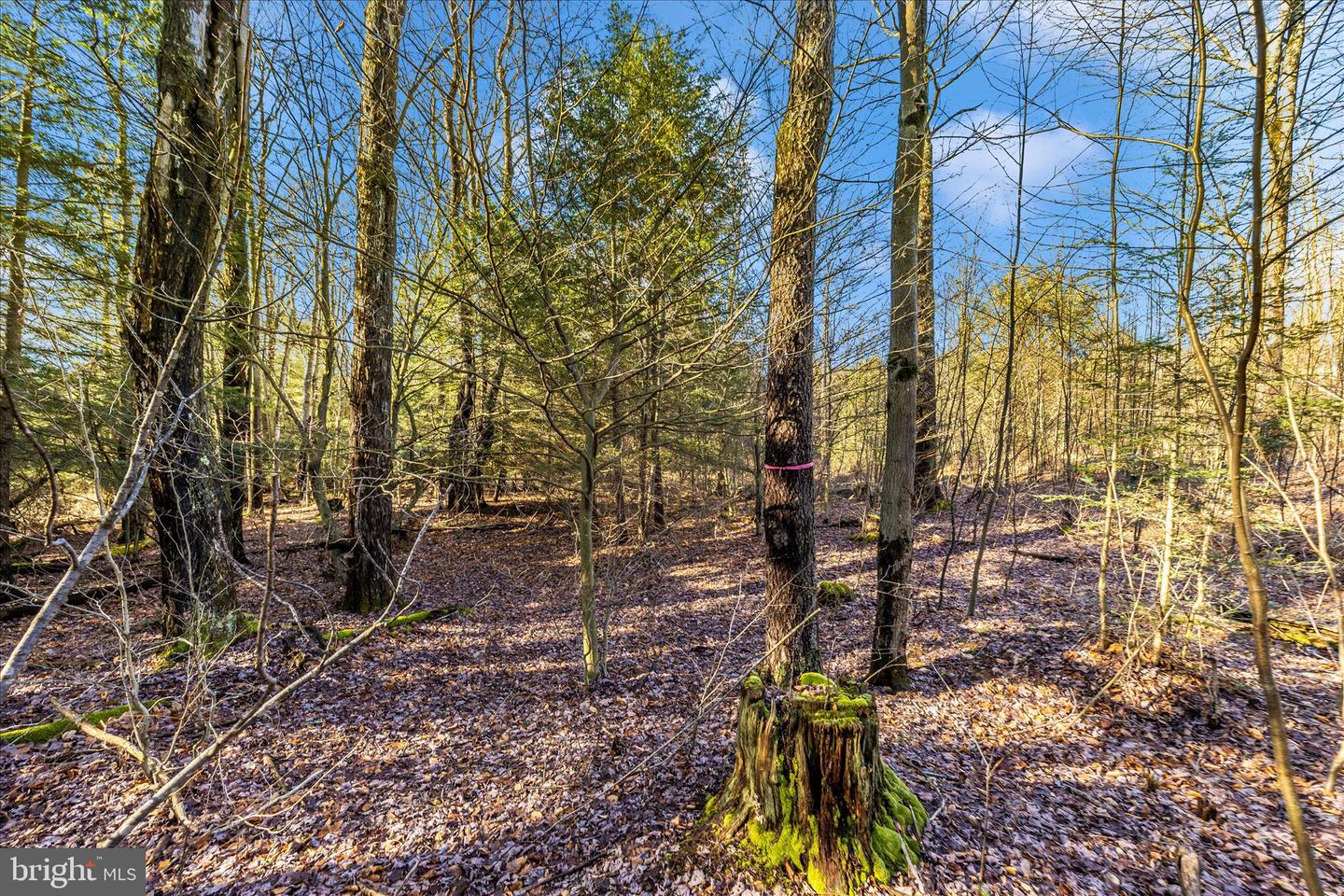 000 Mountain Road Lot 6 Property Photo 30