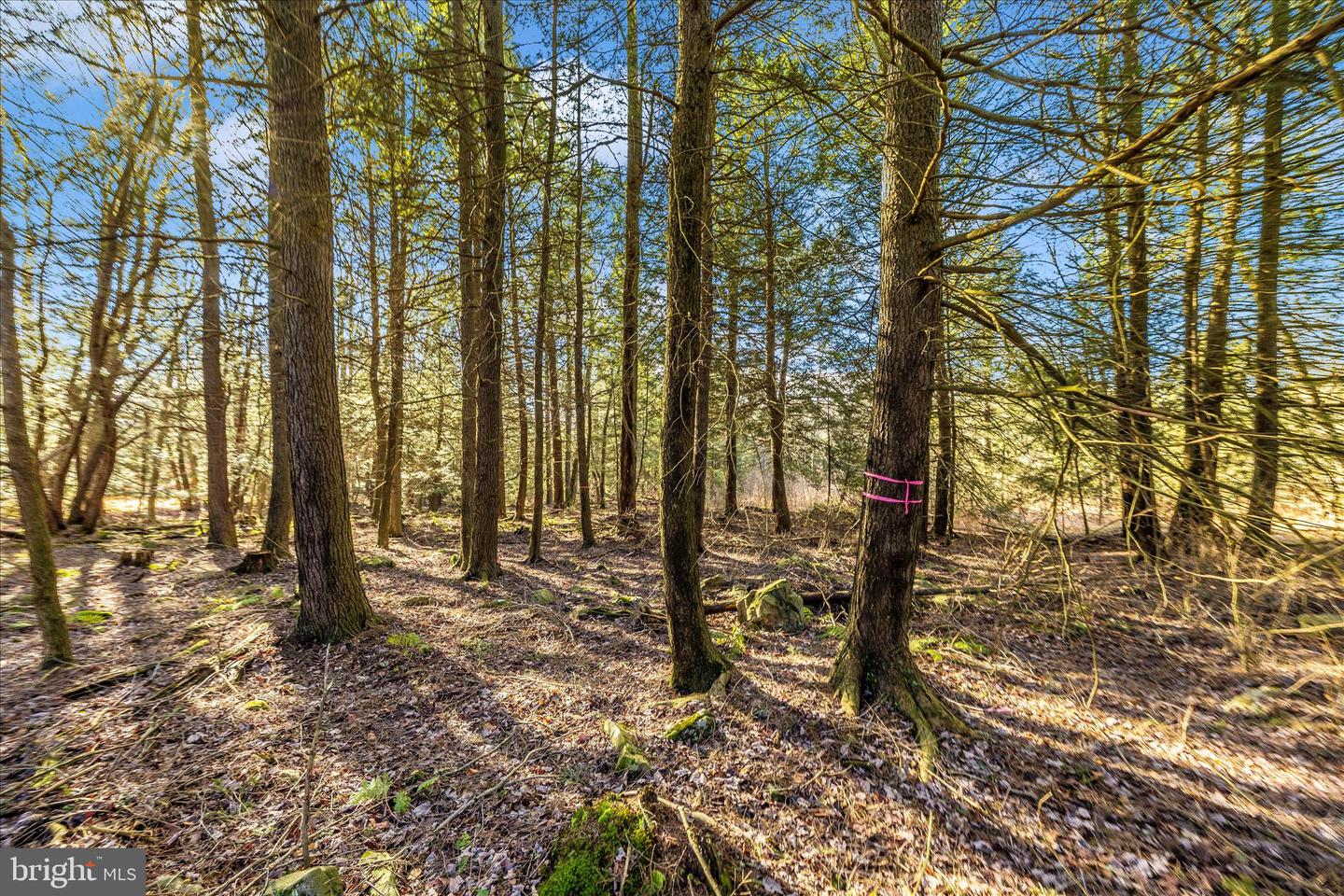 000 Mountain Road Lot 6 Property Photo 31