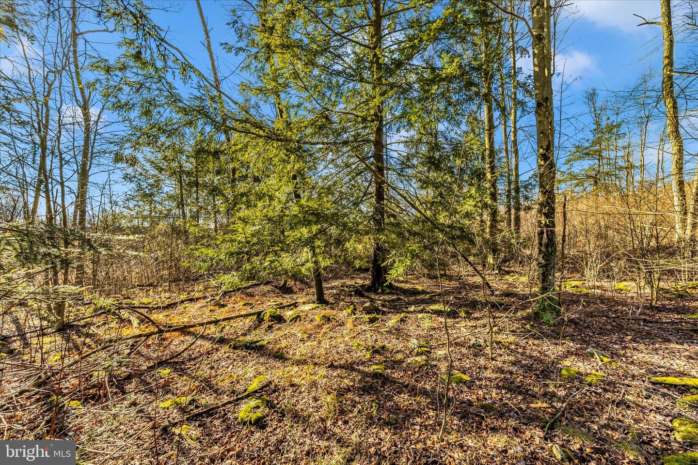 000 Mountain Road Lot 6 Property Photo 32