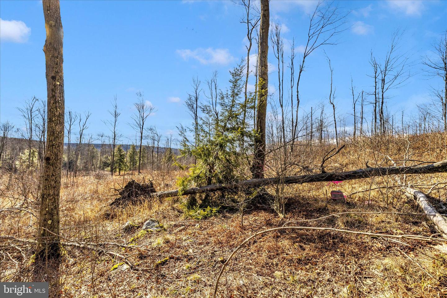 000 Mountain Road Lot 6 Property Photo 33