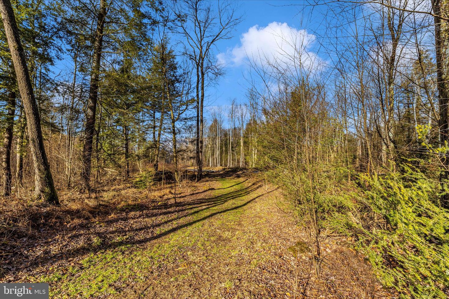 000 Mountain Road Lot 6 Property Photo 34