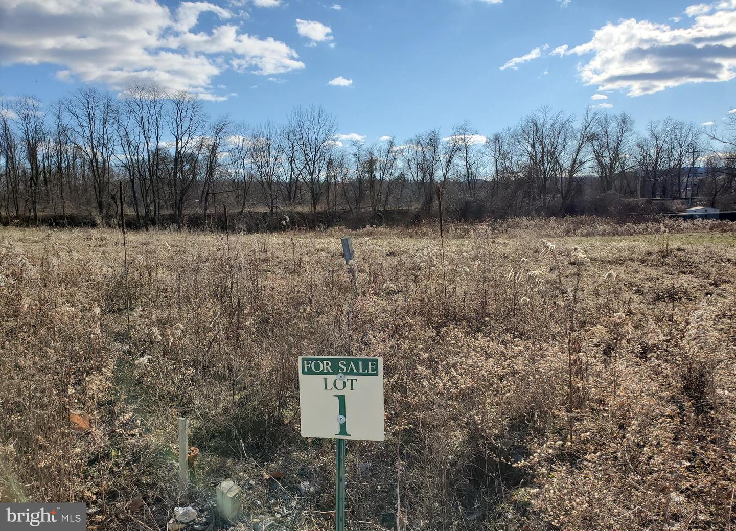 Lot 3 Pennington Dr Property Photo 3