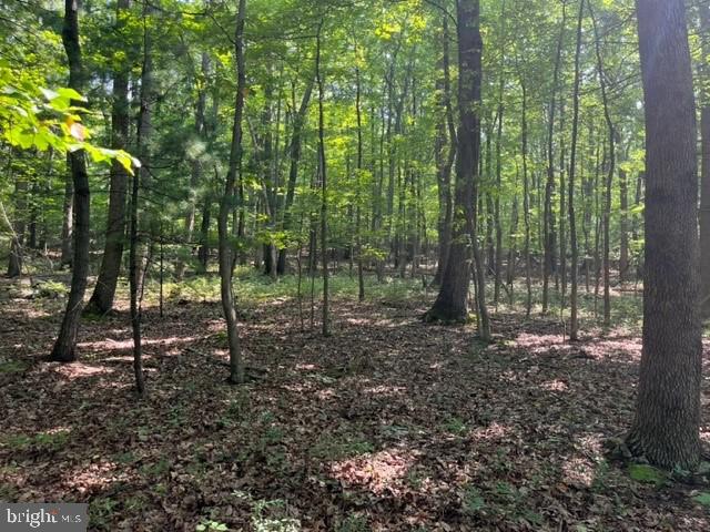 527 Baltimore Pike Property Photo 2