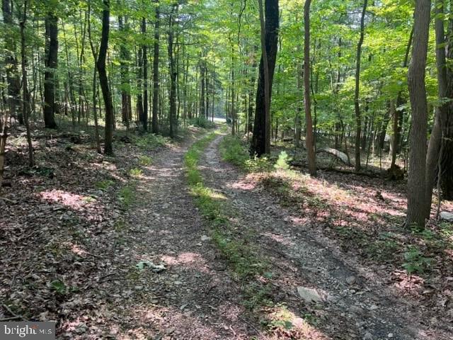 527 Baltimore Pike Property Photo 3