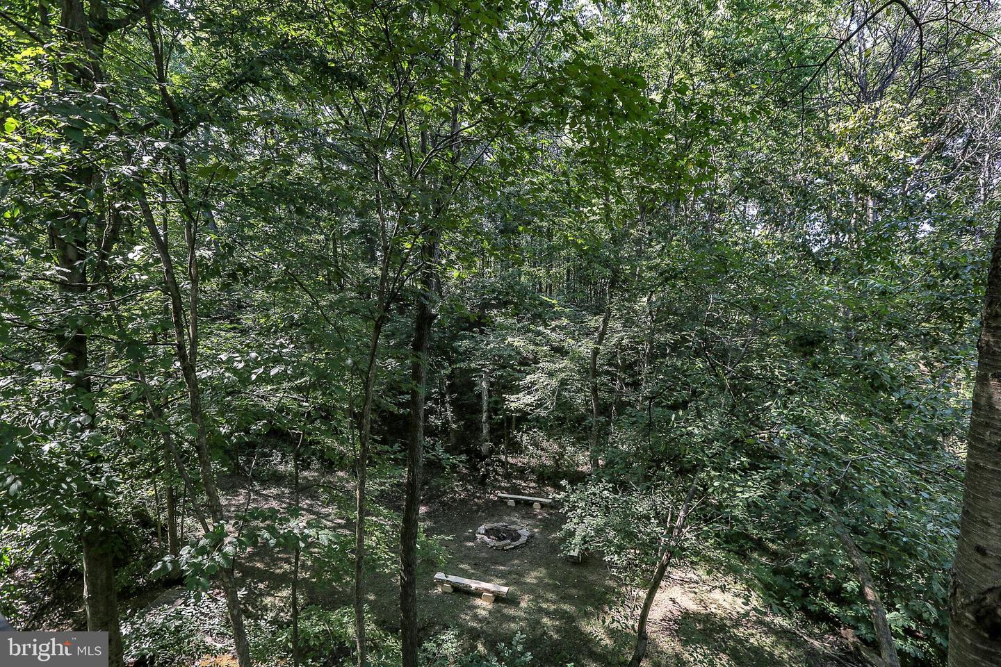 1775 Eliza Way Property Photo 74