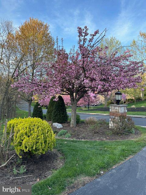 1775 Eliza Way Property Photo 101