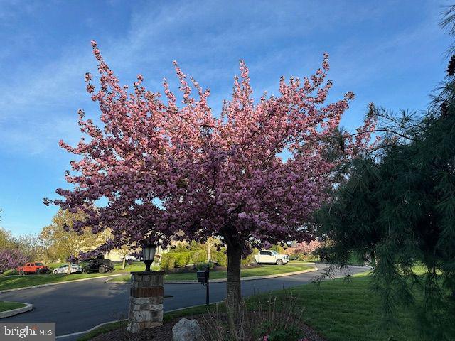 1775 Eliza Way Property Photo 102