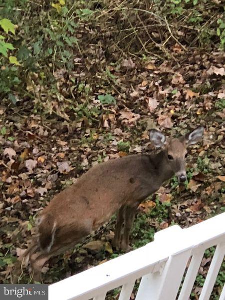 1775 Eliza Way Property Photo 103