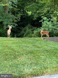 1775 Eliza Way Property Photo 104