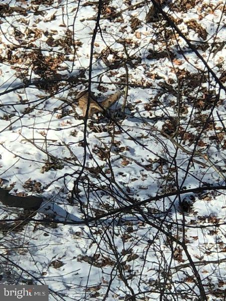 1775 Eliza Way Property Photo 105