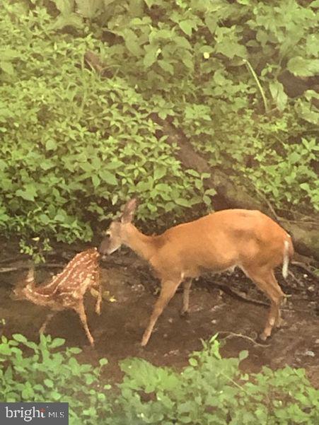 1775 Eliza Way Property Photo 106