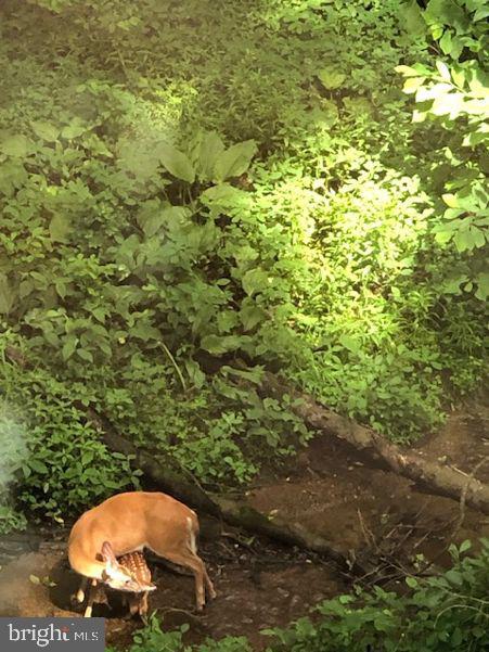 1775 Eliza Way Property Photo 107