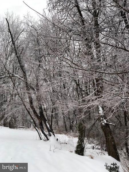 1775 Eliza Way Property Photo 108