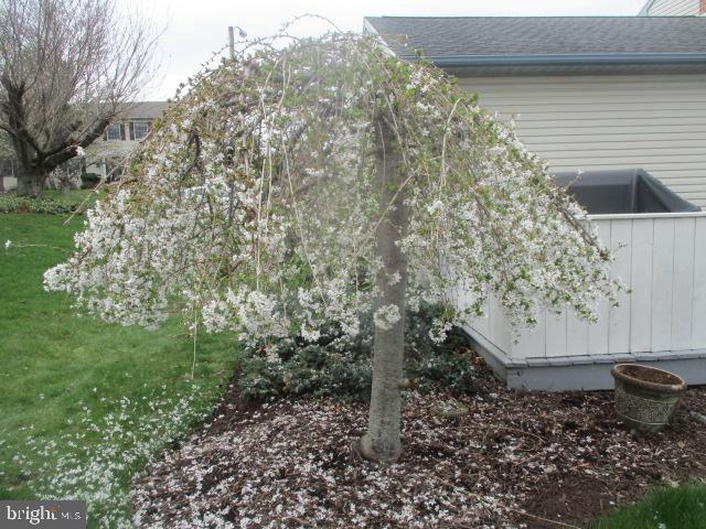 3503 Stockwood St Property Photo 27