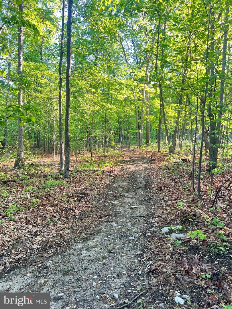 Lot Gutshall Rd Property Photo