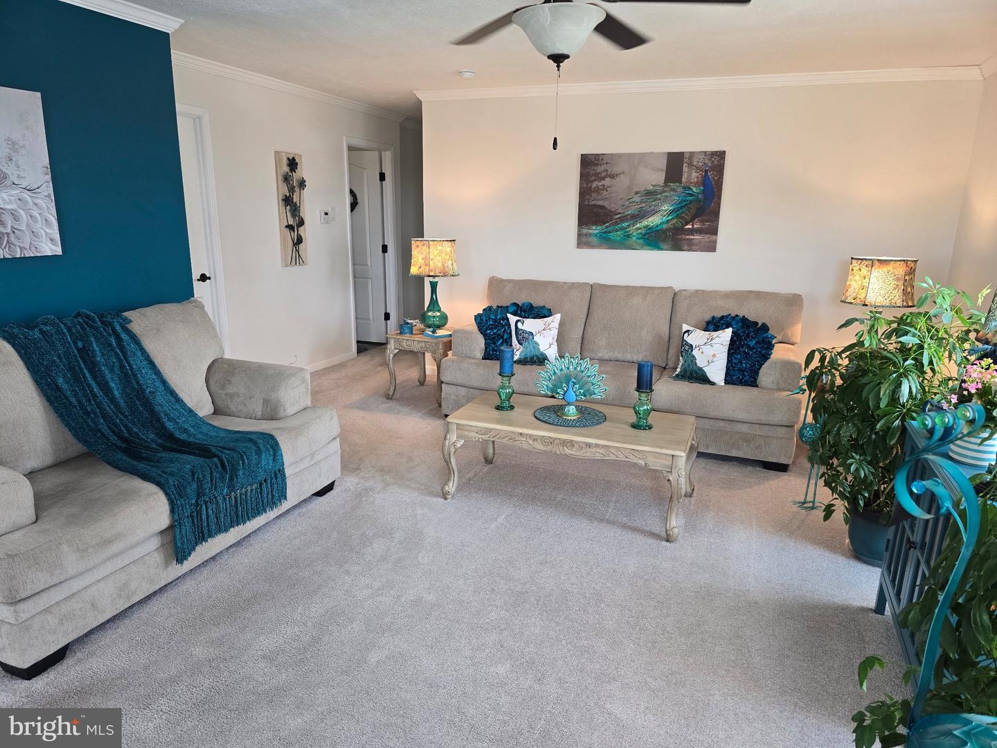 300 Oriole Dr Property Photo 4