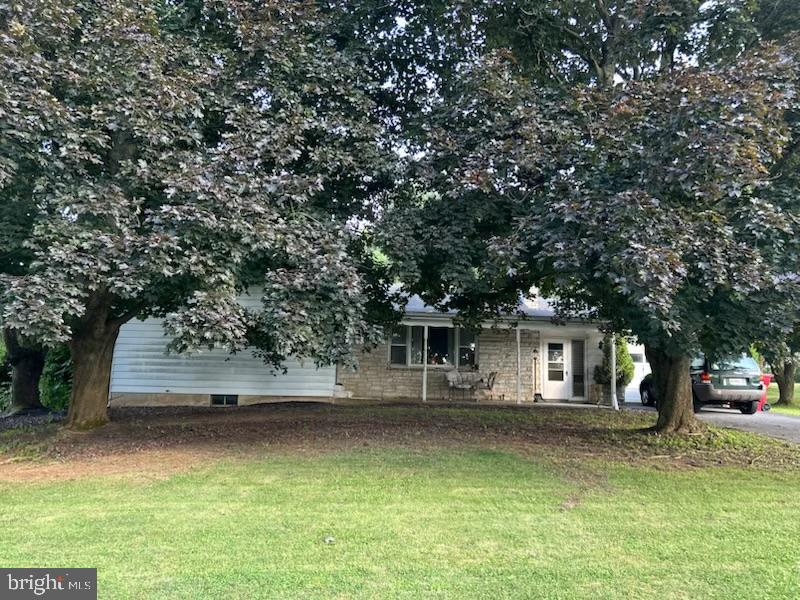 82 Carlisle Road Property Photo 1