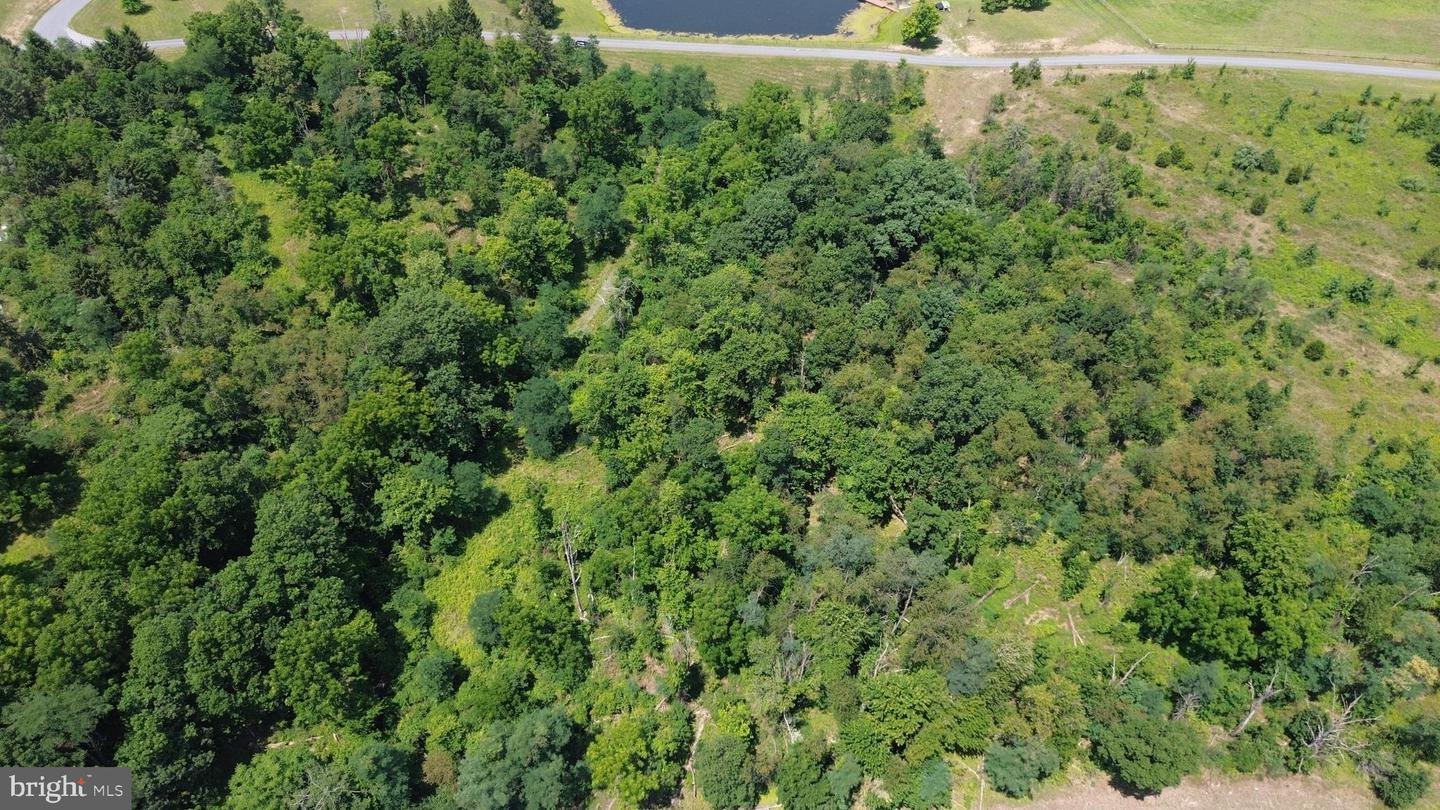 4550 Valley Property Photo 6