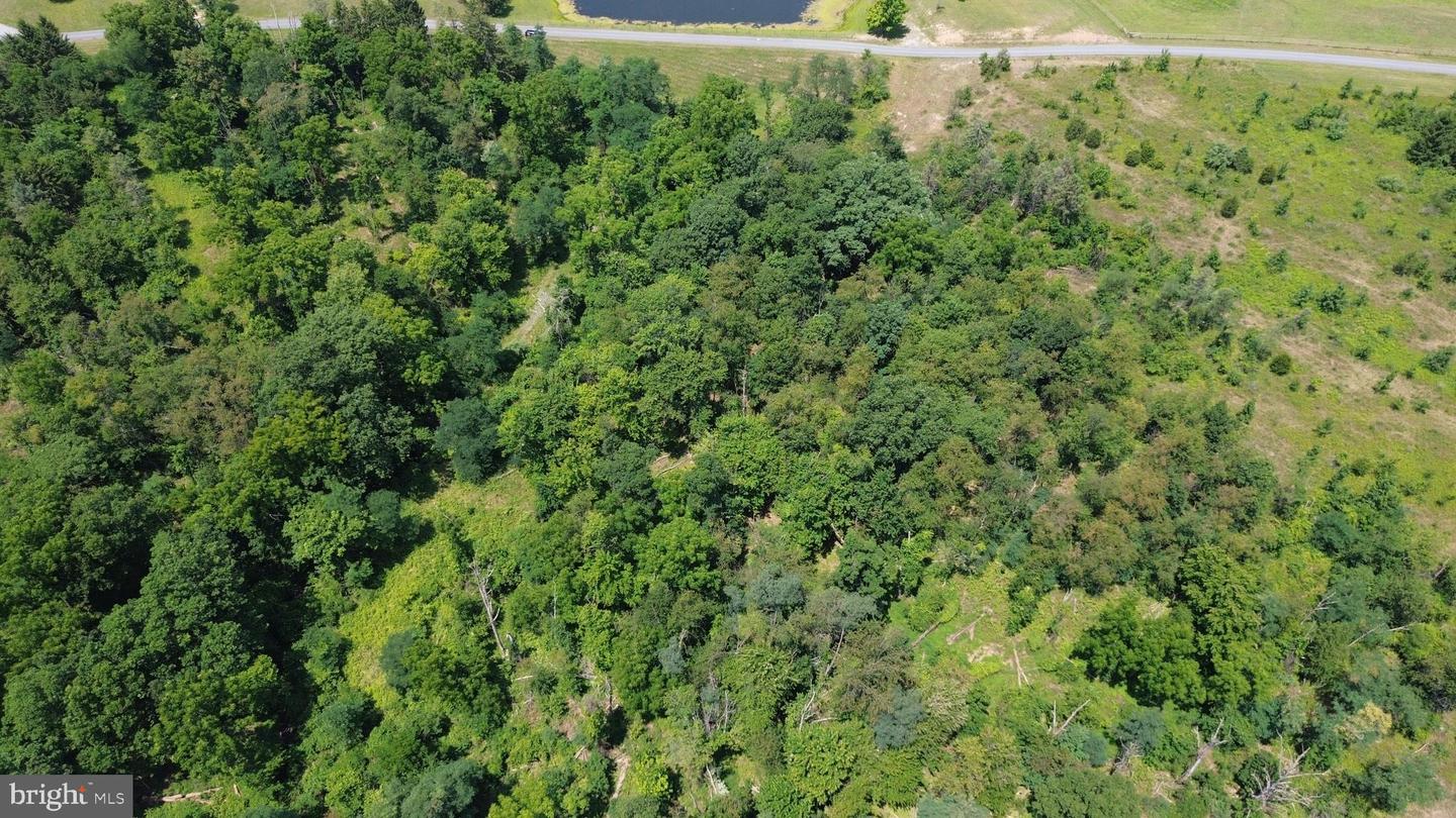 4550 Valley Property Photo 8