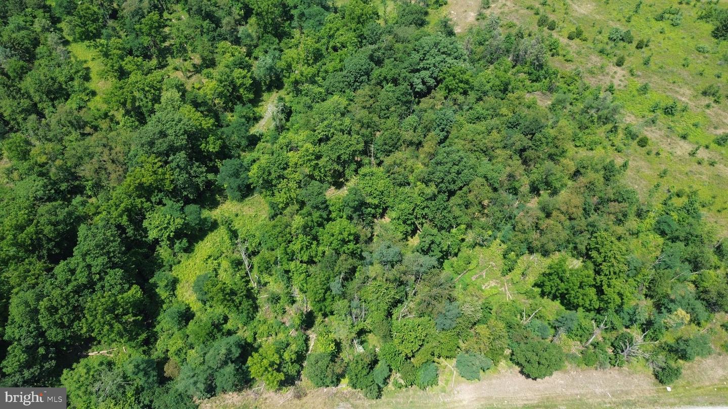 4550 Valley Property Photo 9