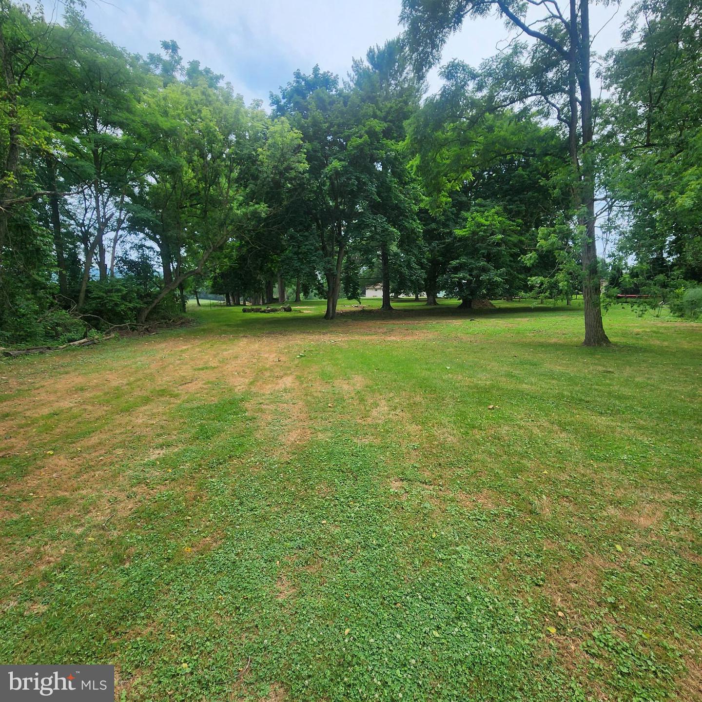 493 Criswell Drive Property Photo 8