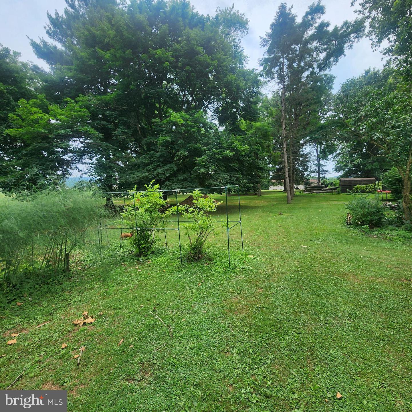 493 Criswell Drive Property Photo 11