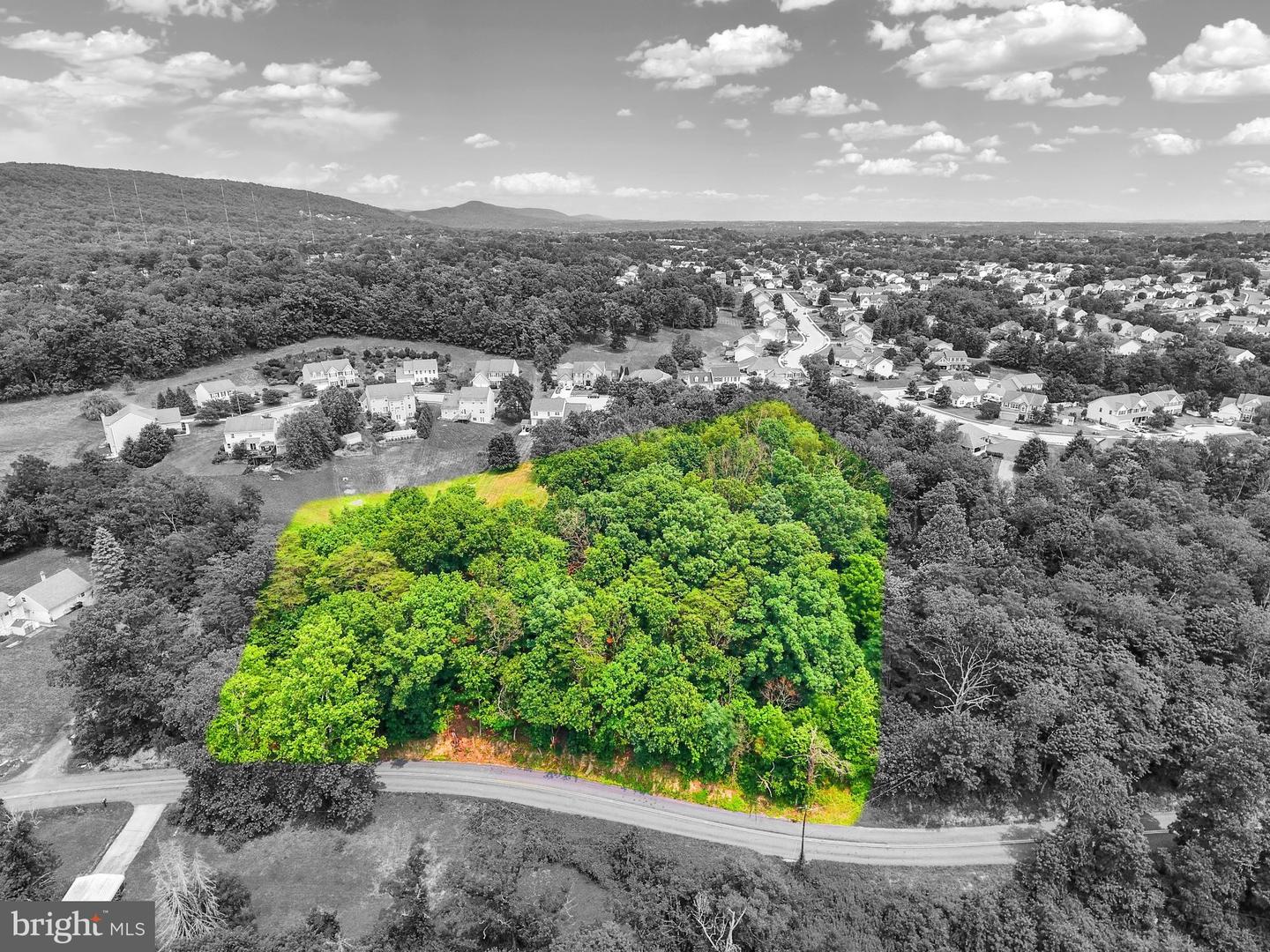 Lot 228 Larch Ln Property Photo 1