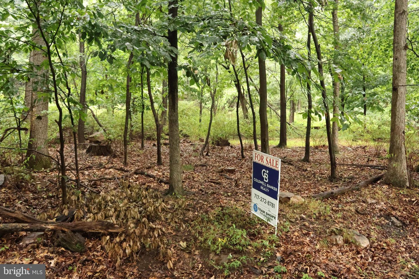 Trail Ln Property Photo 3