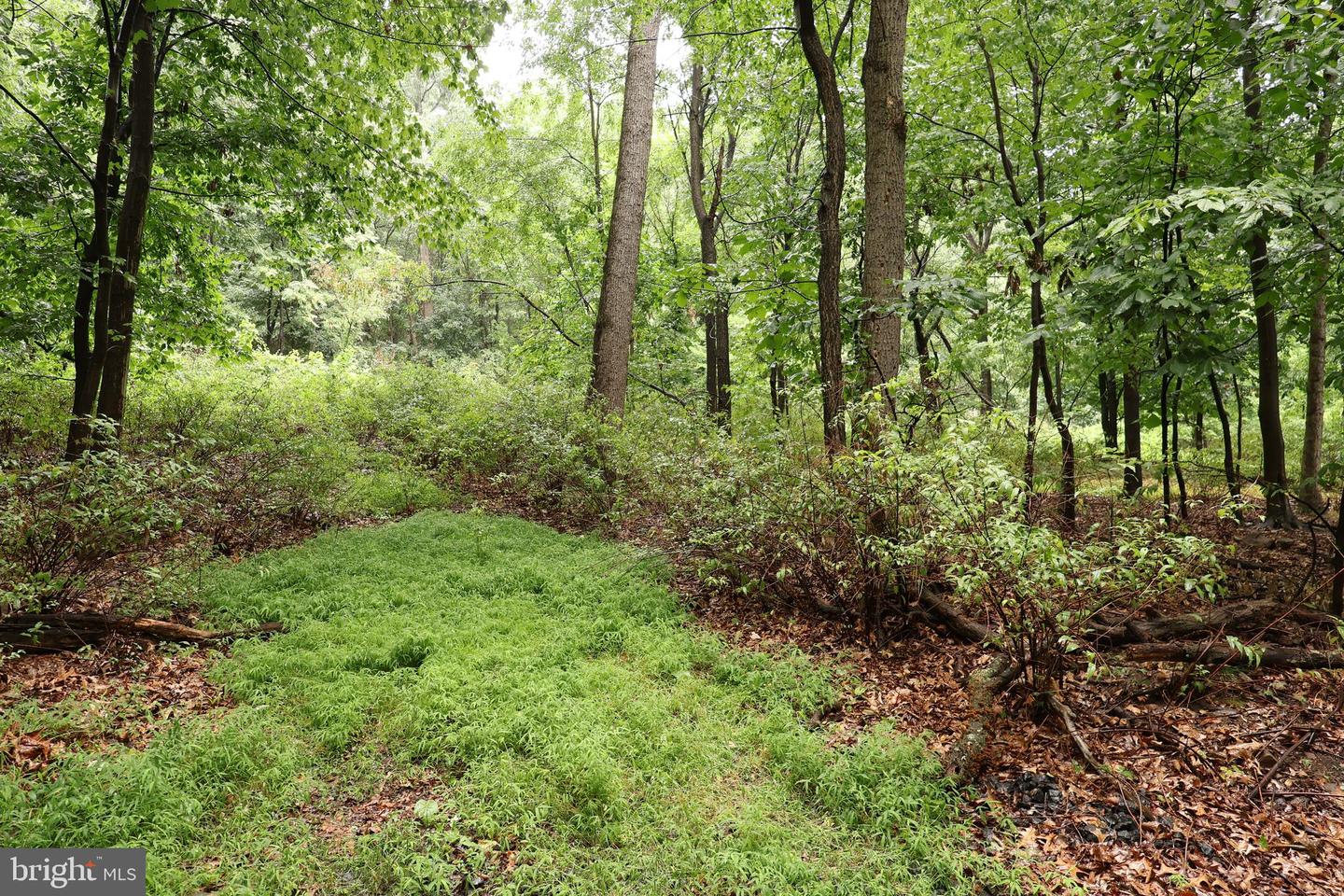 Trail Ln Property Photo 4