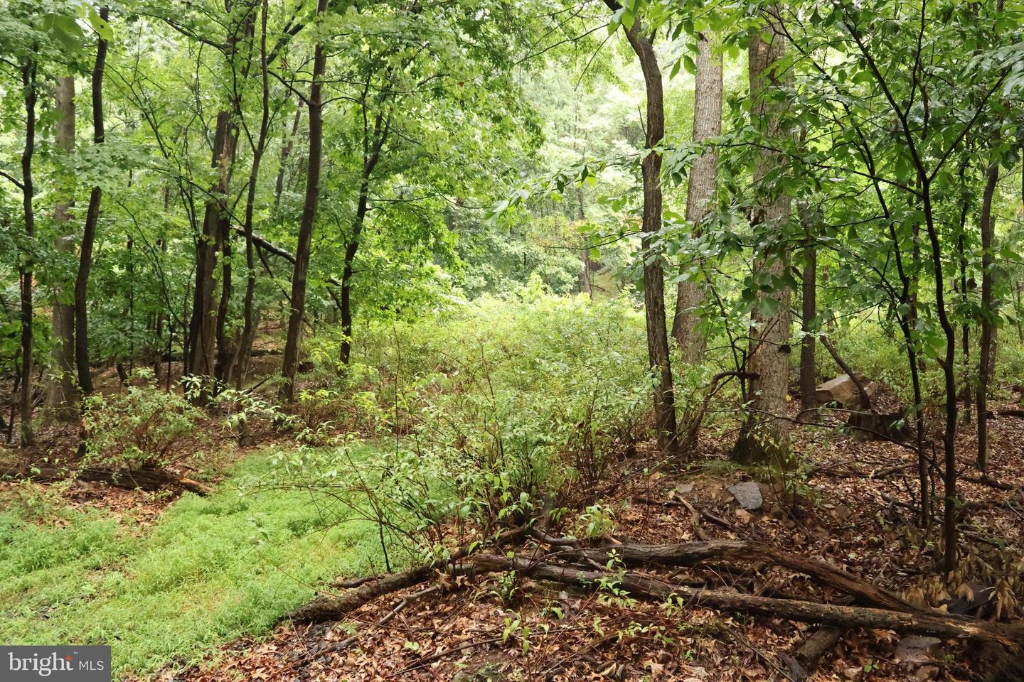 Trail Ln Property Photo 5