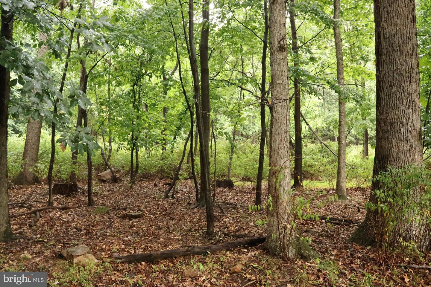 Trail Ln Property Photo 6