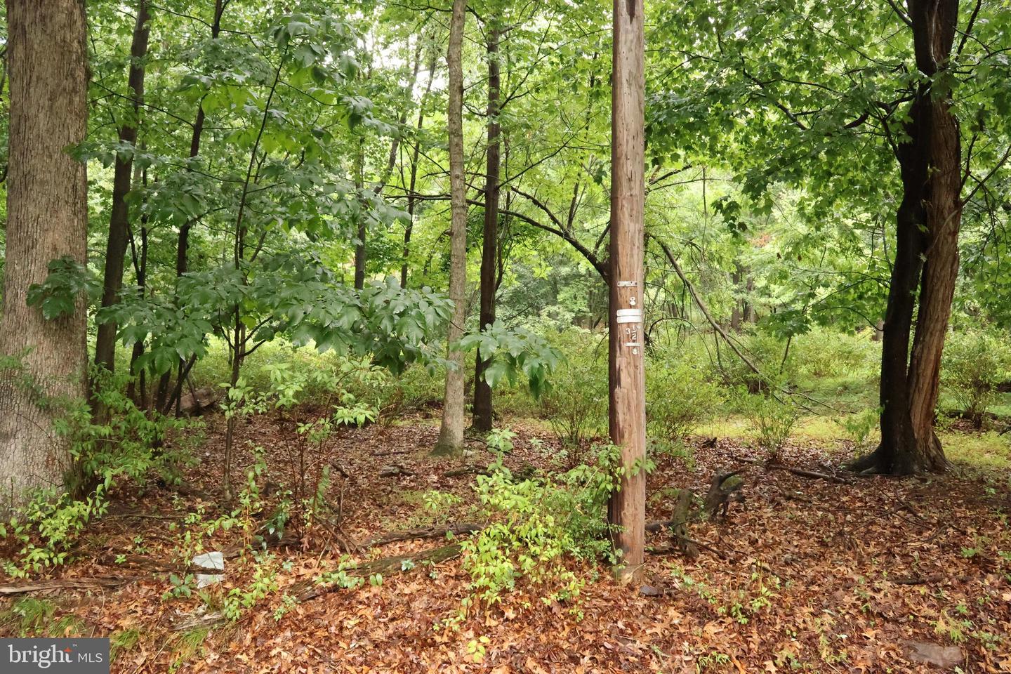 Trail Ln Property Photo 7