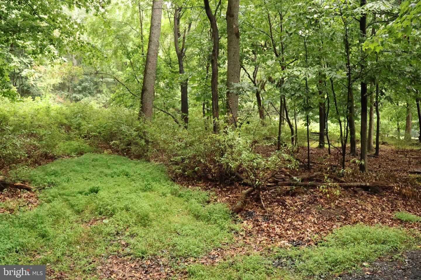 Trail Ln Property Photo 10