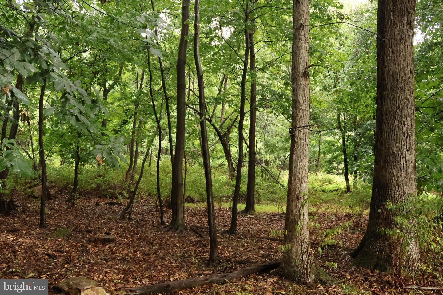 Trail Ln Property Photo 11