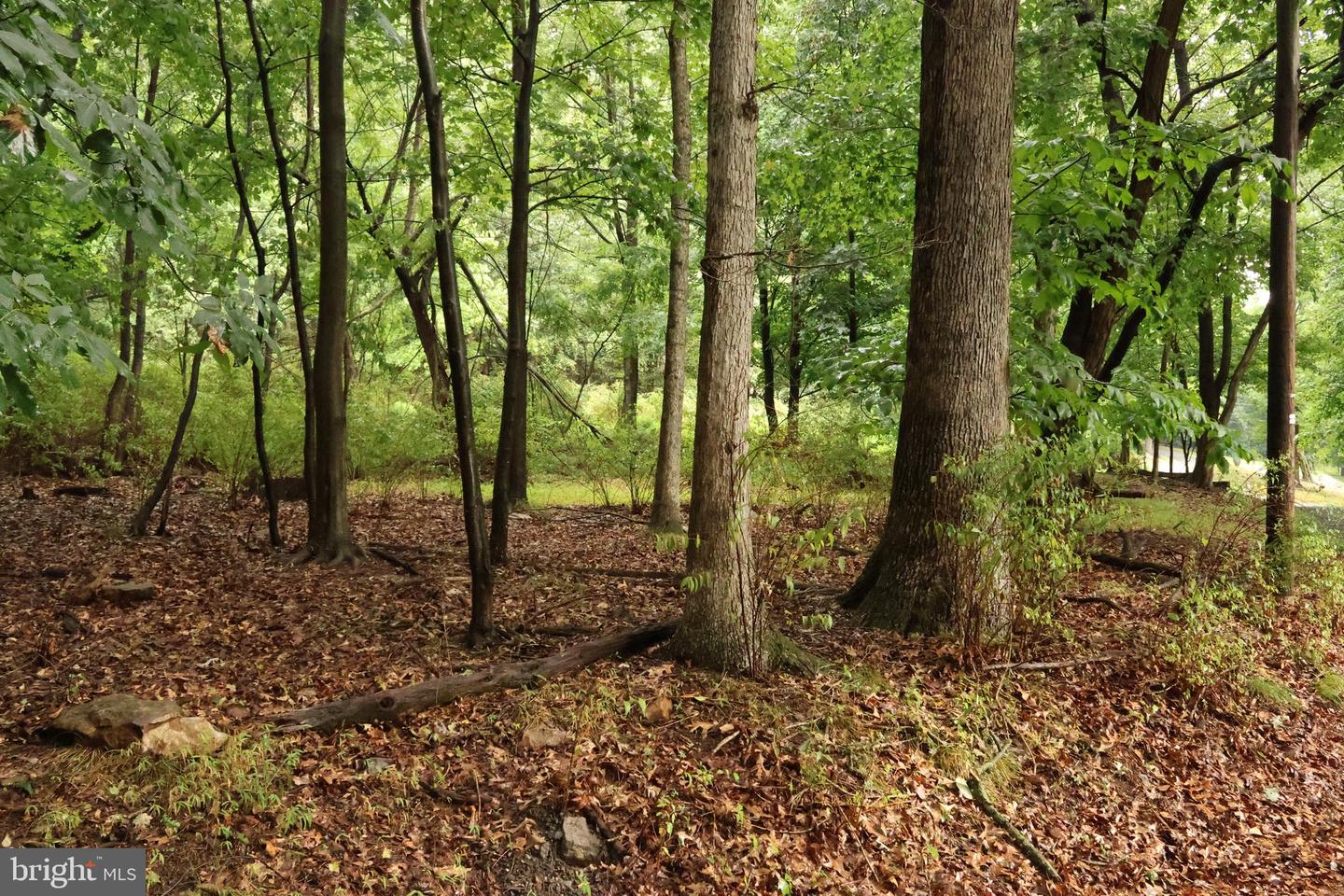 Trail Ln Property Photo 12