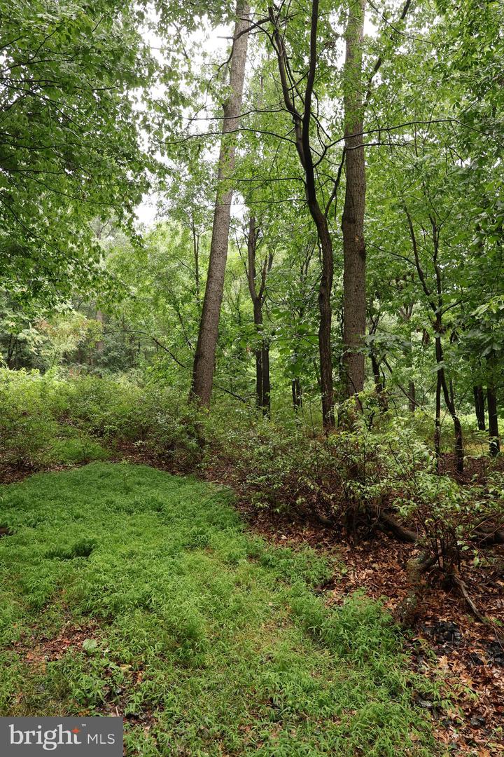 Trail Ln Property Photo 13